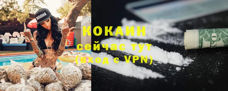 Виды наркотиков купить Балтийск Cocaine  A-PVP  Меф мяу мяу  ГАШИШ  Амфетамин  Бошки Шишки 